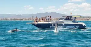 Delfinbeobachtung in Fuengirola