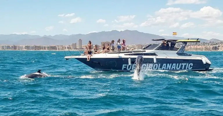 Dolphin Watching in Fuengirola