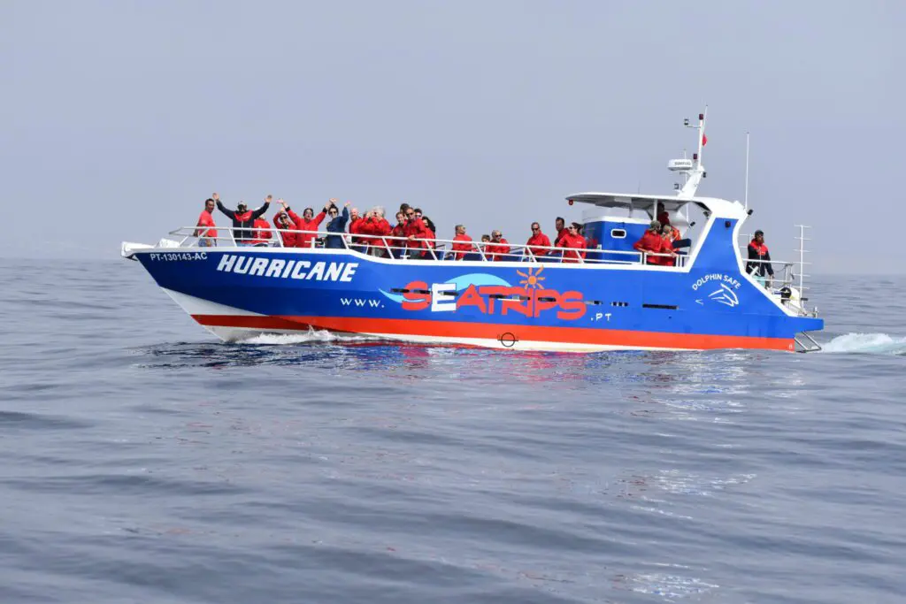 Benagil and Dolphin Boat Tour from Lagos