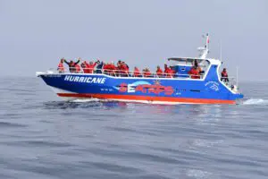 Benagil and Dolphin Boat Tour from Lagos