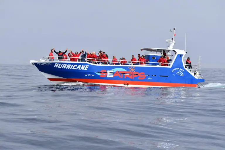 Benagil and Dolphin Boat Tour from Lagos