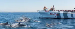 DOLPHINS and CAVES – Benagil