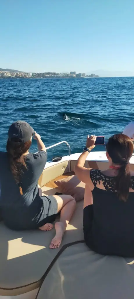 Dolphin Watching Charter in Fuengirola
