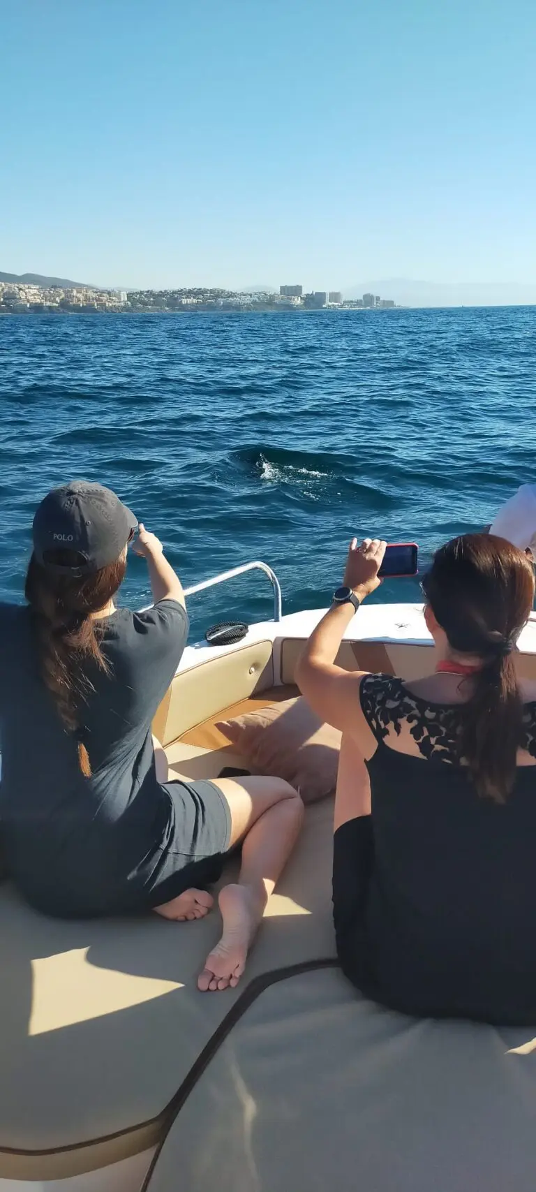 Charter de Avistamiento de Delfines en Fuengirola