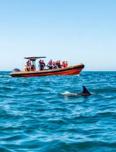 Cascais Delfinbeobachtungstour