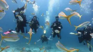 Scuba Diving with Two Tanks in St. Thomas