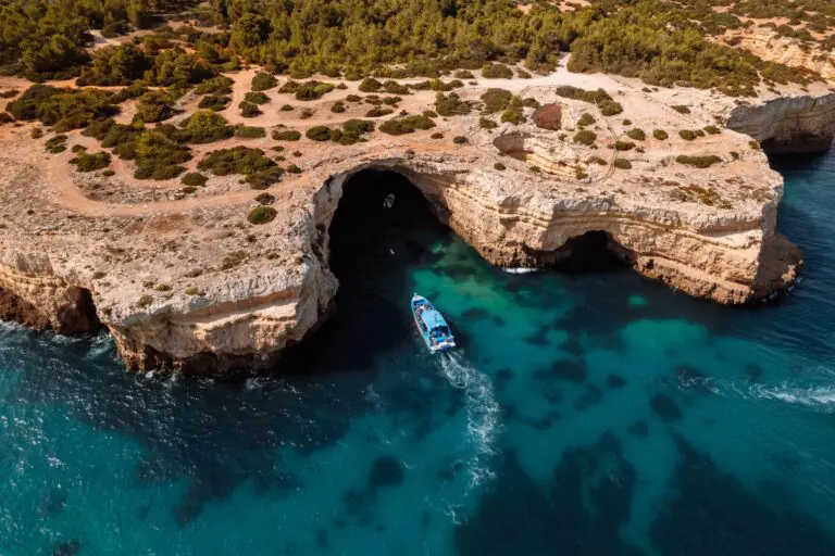 Observação de golfinhos em Albufeira