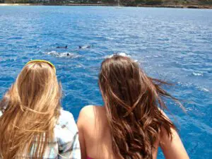 Observação da vida selvagem em barco a motor em Waianae