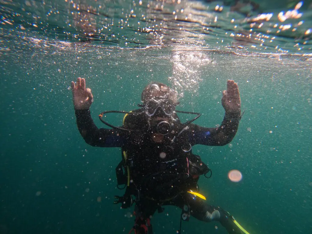 Open Water Duiker Cursus in Arrabida Natuurpark
