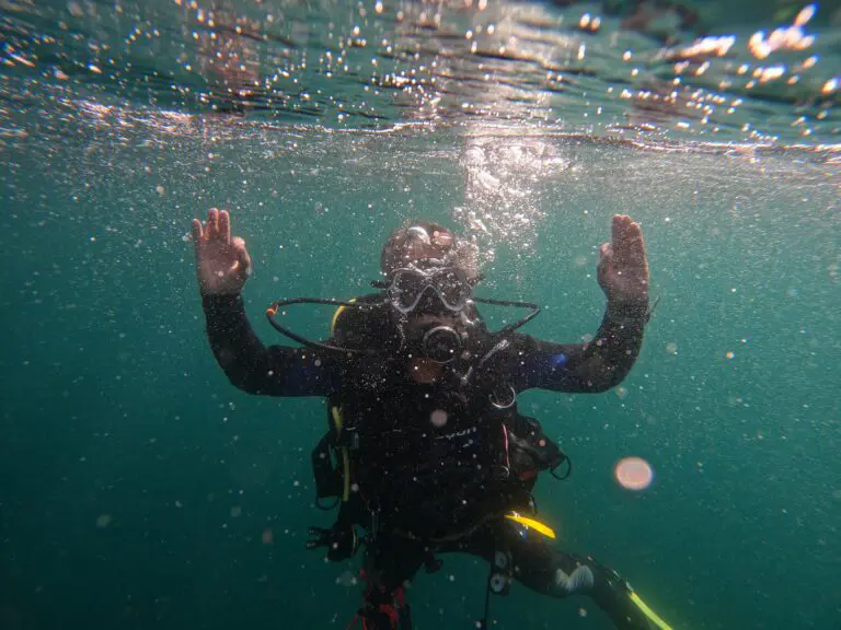 Open Water Diver Course in Arrabida Natural Park