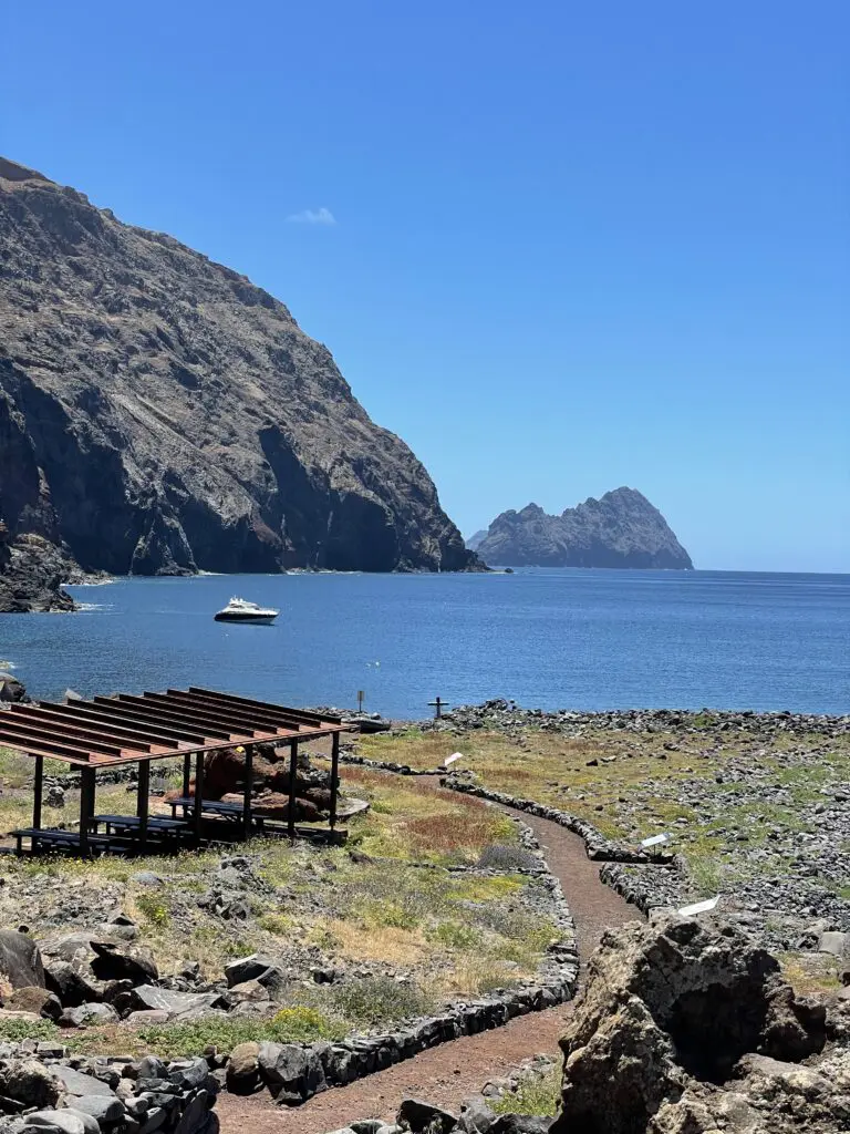 Private Cruise to Desertas Islands