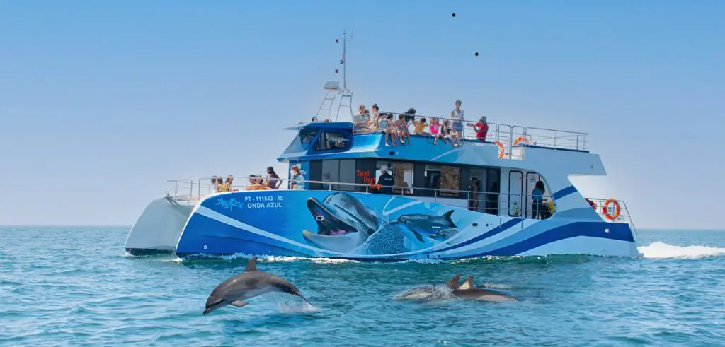 Avistamiento de delfines en catamarán en Lagos