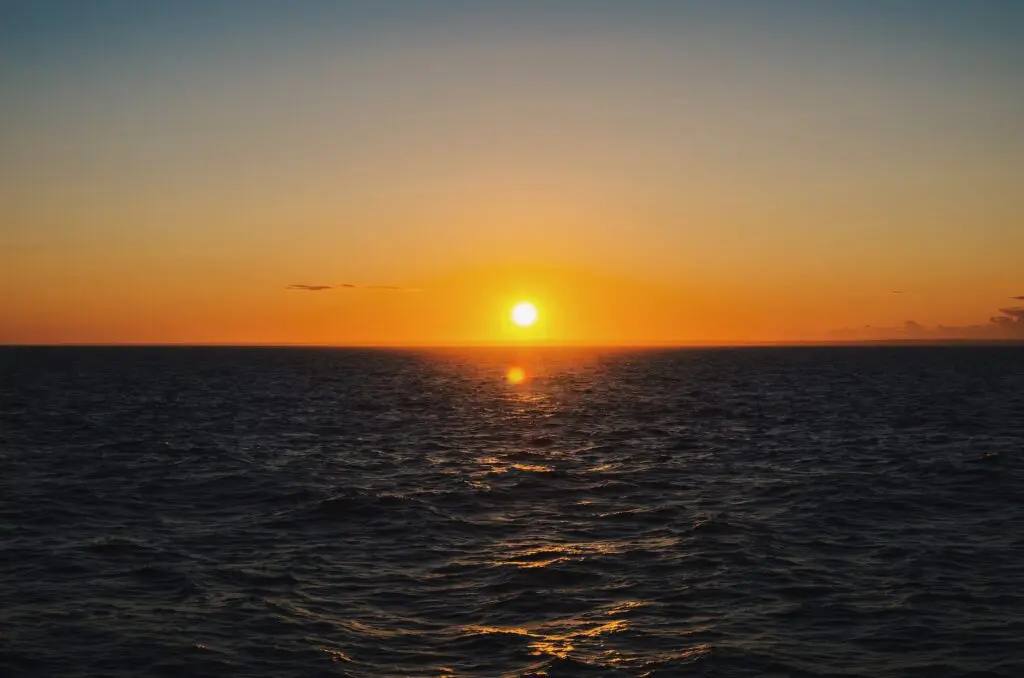 Sunset cruise with dolphins in Lanzarote