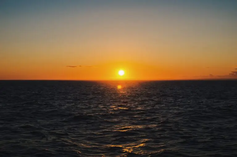 Zonsondergang cruise met dolfijnen in Lanzarote