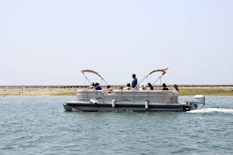 Faro Boat Tour