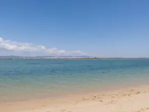 Ria Formosa birdwatching boat tour
