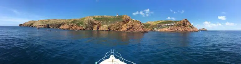 Boat Tour to Berlenga Island