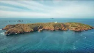 Bootsfahrt zur Insel Berlenga