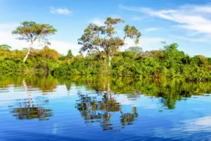 Bootstour zu den Delfinen und zu einem indigenen Dorf ab Manaus