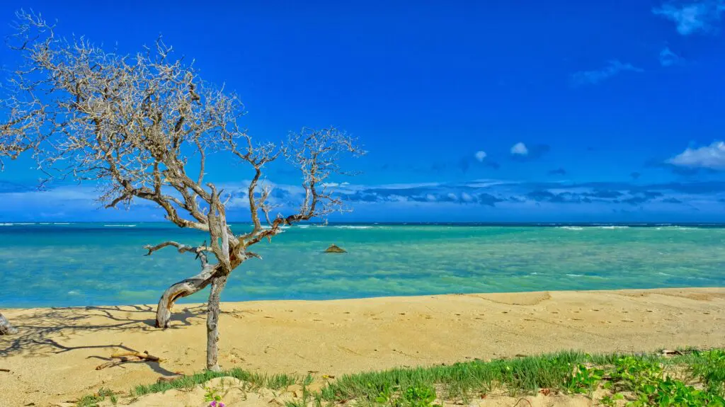 Kahului