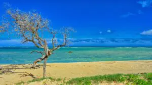 Kahului