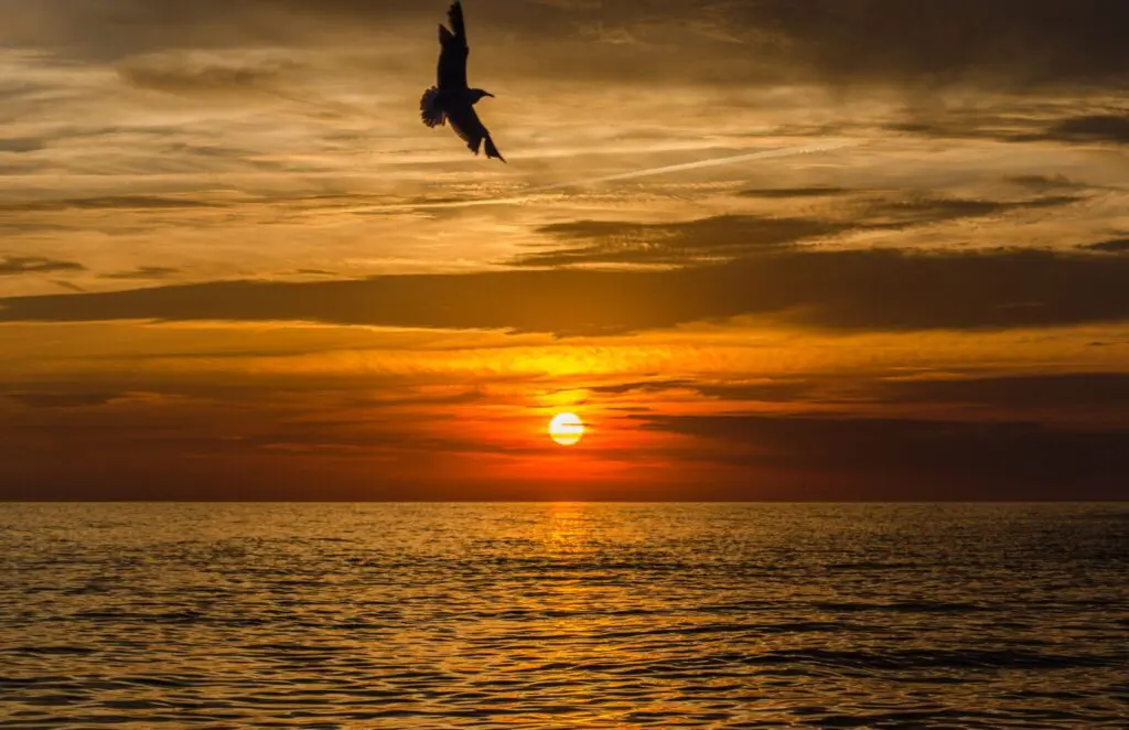 4 Places where to see the best sunsets in Ibiza
