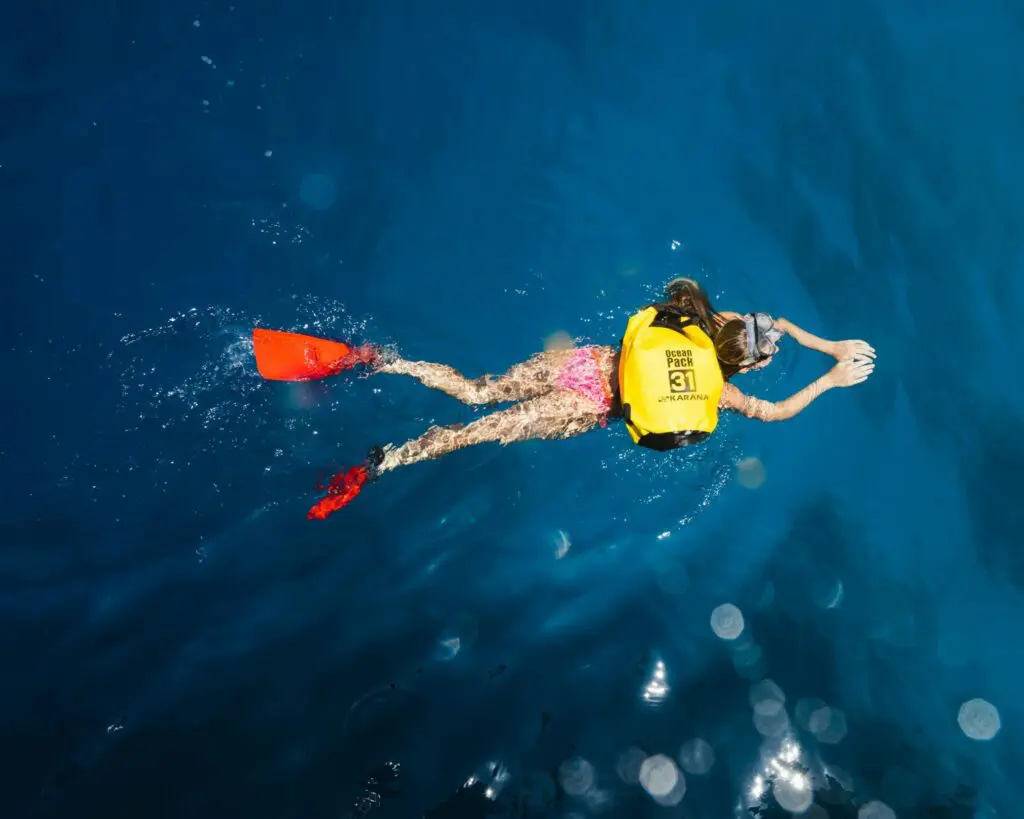 The Best Spots for Snorkeling Adventures from the UAE to the USA