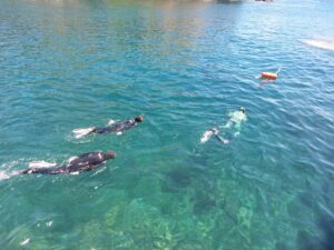 Excursión en barco a Ilhéu das Cabras con snorkel