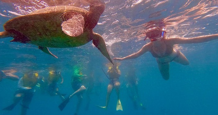 Entdecken Sie Hawaii an einem Tag
