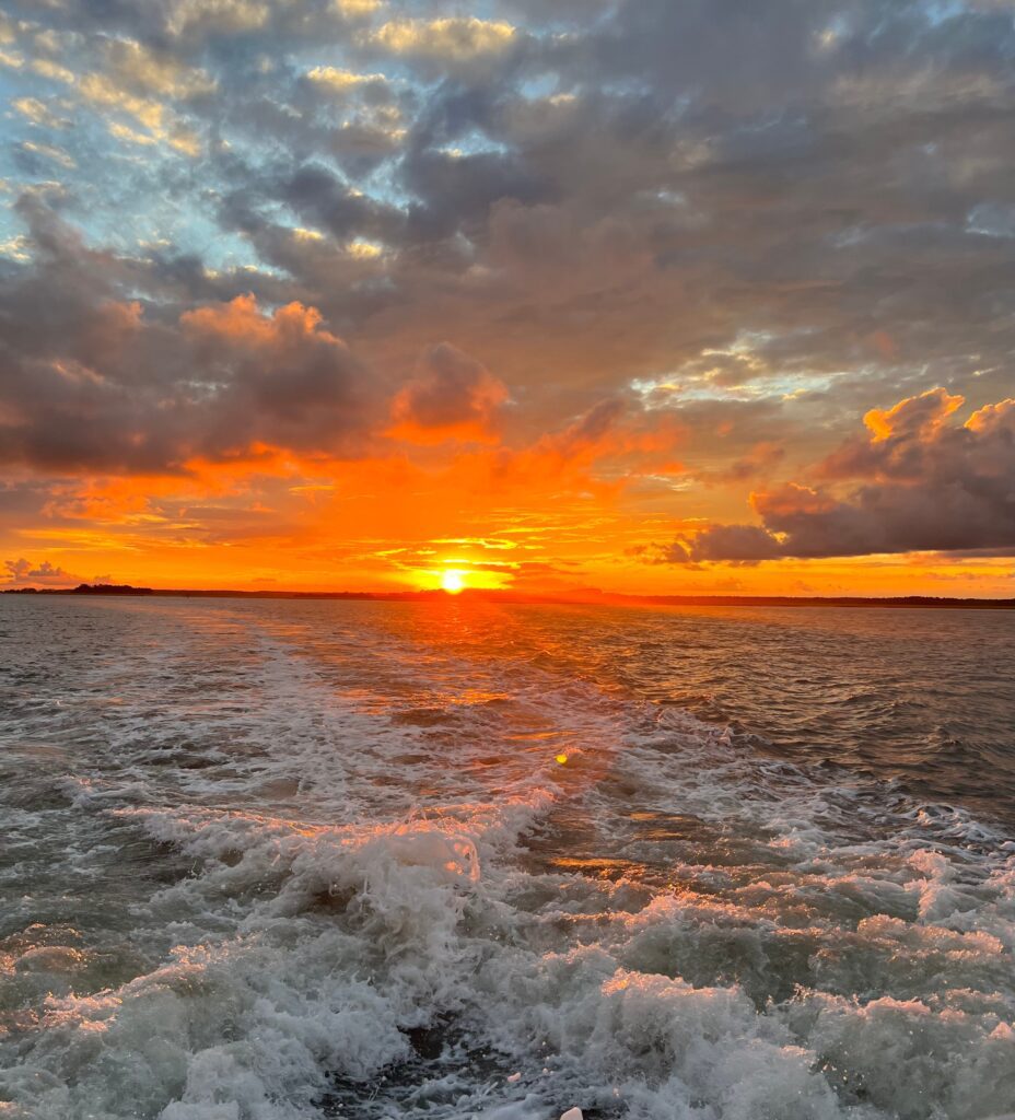 Sunset Creek Katzen-Tour in Hilton Head