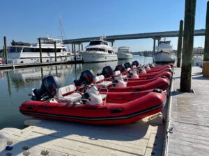 Excursión en minibote con delfines en Hilton Head