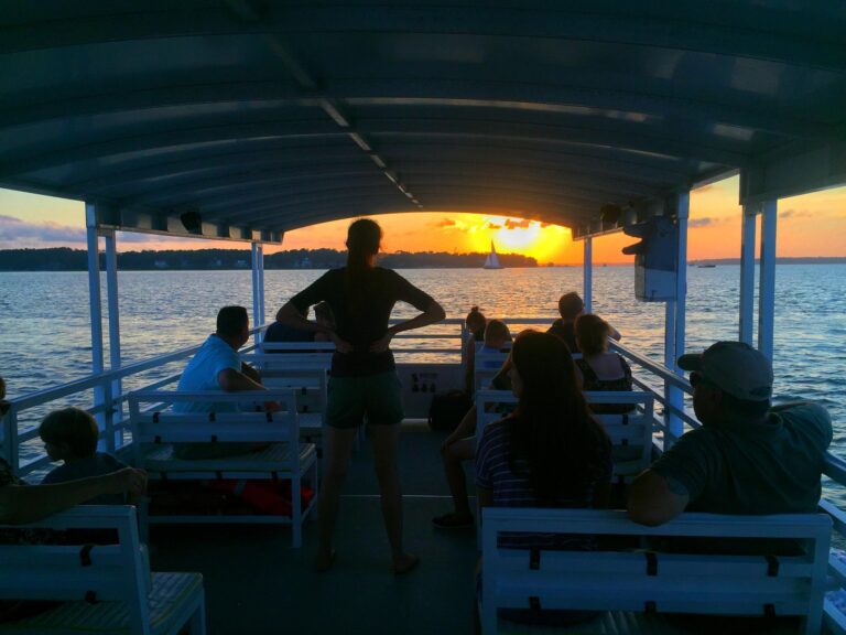 Sonnenuntergang & Feuerwerk Delphin-Tour in Hilton Head