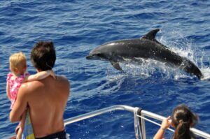 Excursión de avistamiento de ballenas y delfines con baño en Gran Canaria