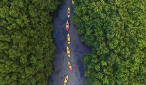 Night Kayak Bay Tour in Las Croabas