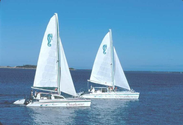 Segeltour und Schnorcheltour in Nassau