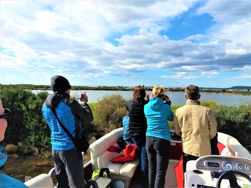 Vogelbeobachtung und Naturkreuzfahrt in der Ria Formosa