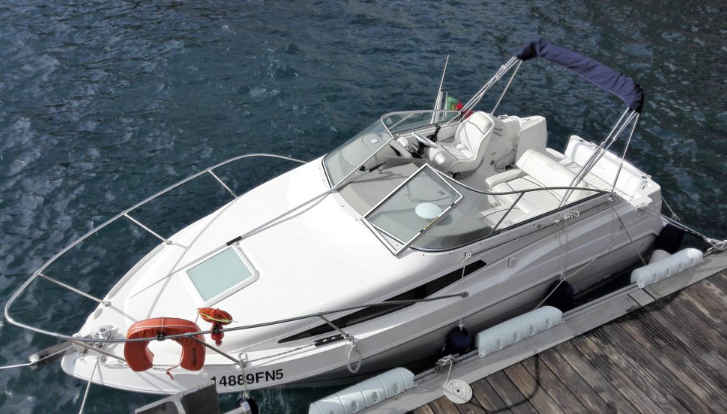 Private Wal- und Delfinbeobachtungstour auf Madeira