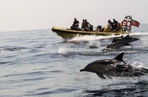 Dreamwave - dolphin watching from Albufeira