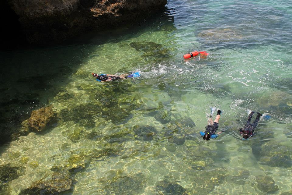 Snorkeling from a boat is one of the coolest activities in the Algarve for groups