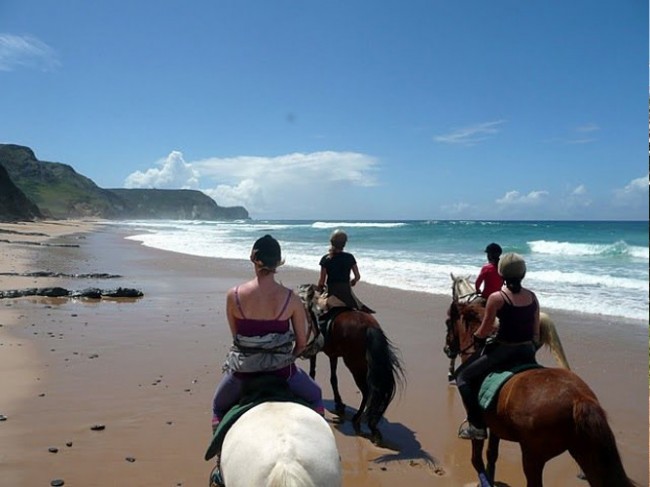 Best things to do in Lagos - Horse Riding