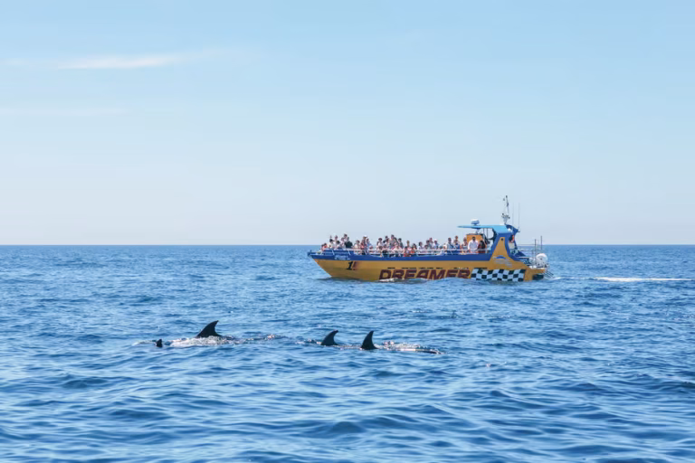 Caves & Dolphin Watching from Albufeira – Dreamer