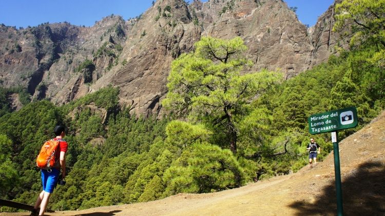 Hiking in La Palma is great for active travelers