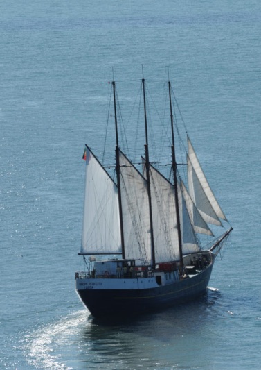 Sailing yacht Lisbon1