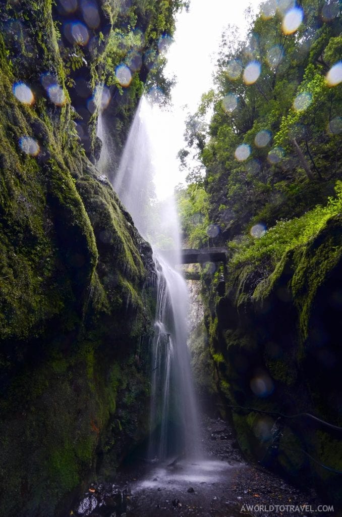 Enjoying a shower in this waterfall? Another reason to visit La Palma