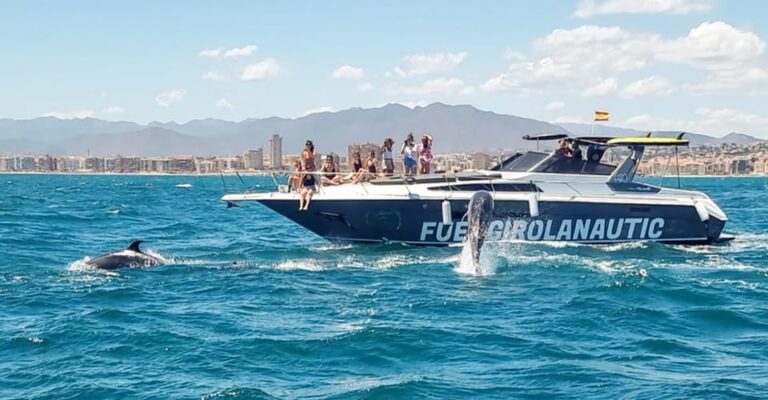 Dolphin Watching in Fuengirola