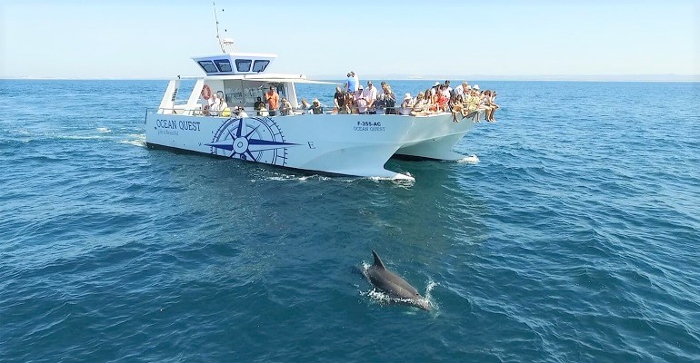 Catamaran boat tour to the dolphins in Vilamoura