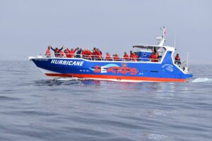 Excursión en barco a Benagil y los delfines desde Lagos