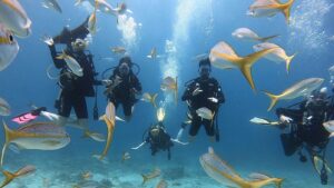 Scuba Diving with Two Tanks in St. Thomas