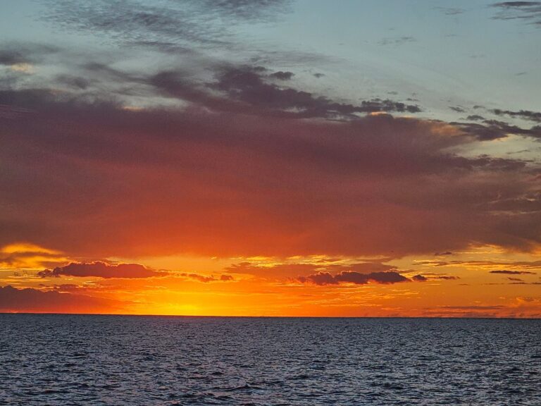 Sonnenuntergangs-Cocktail-Katamaranfahrt in Waikiki