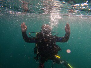 Curso de Buceo en Aguas Abiertas en el Parque Natural de Arrabida
